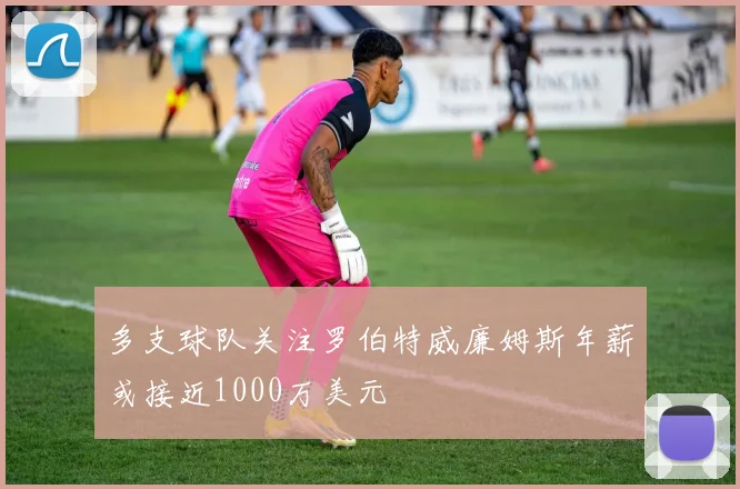 多支球队关注罗伯特威廉姆斯年薪或接近1000万美元